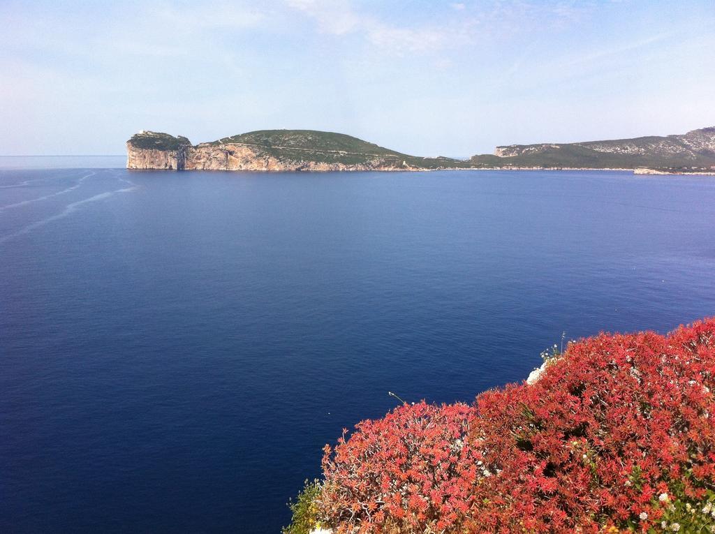 Solelunamare Guest House Alghero Zewnętrze zdjęcie